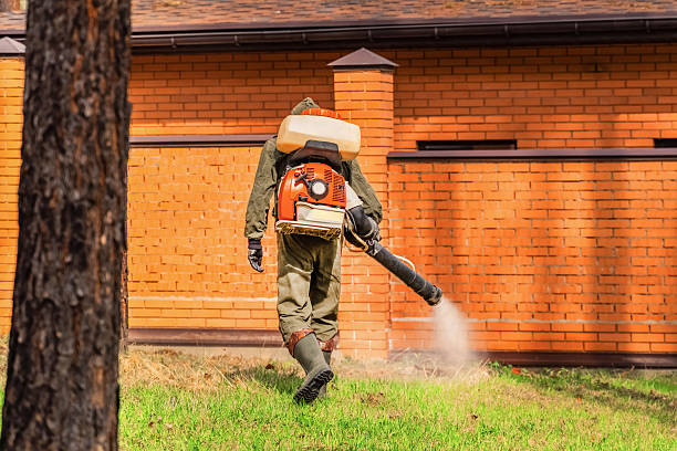 Trusted Emergency Pest Control service in Churchill, OH - Nex Pest Control